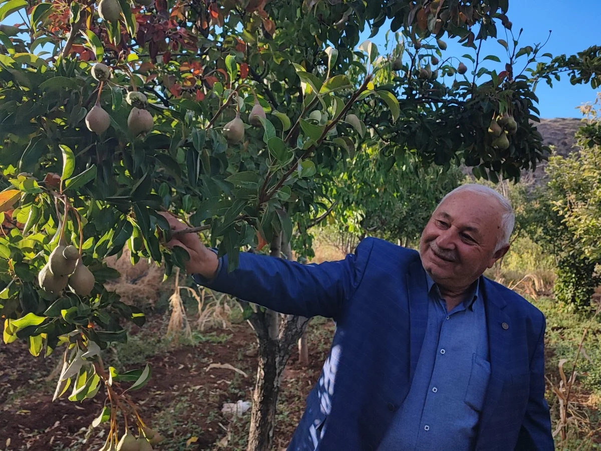 60 yaşındaki çiftçi: "İlk kez böyle bir şey görüyorum"
