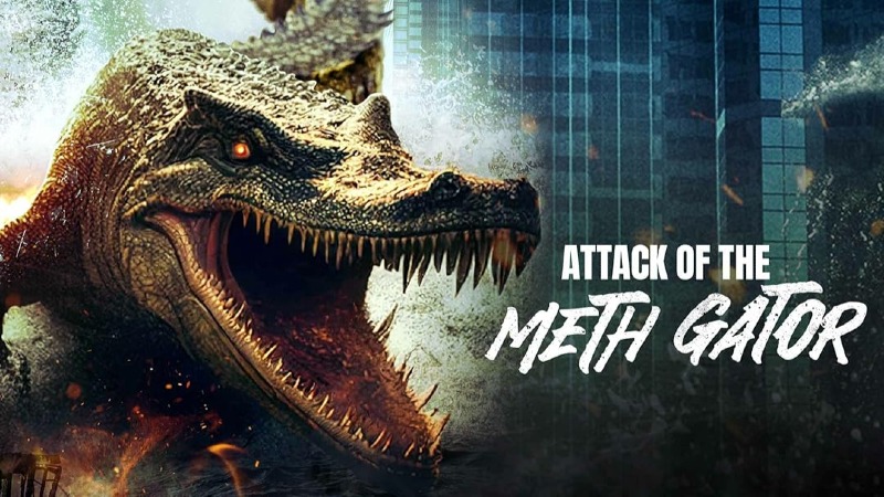 METH GATOR’A SALDIRI