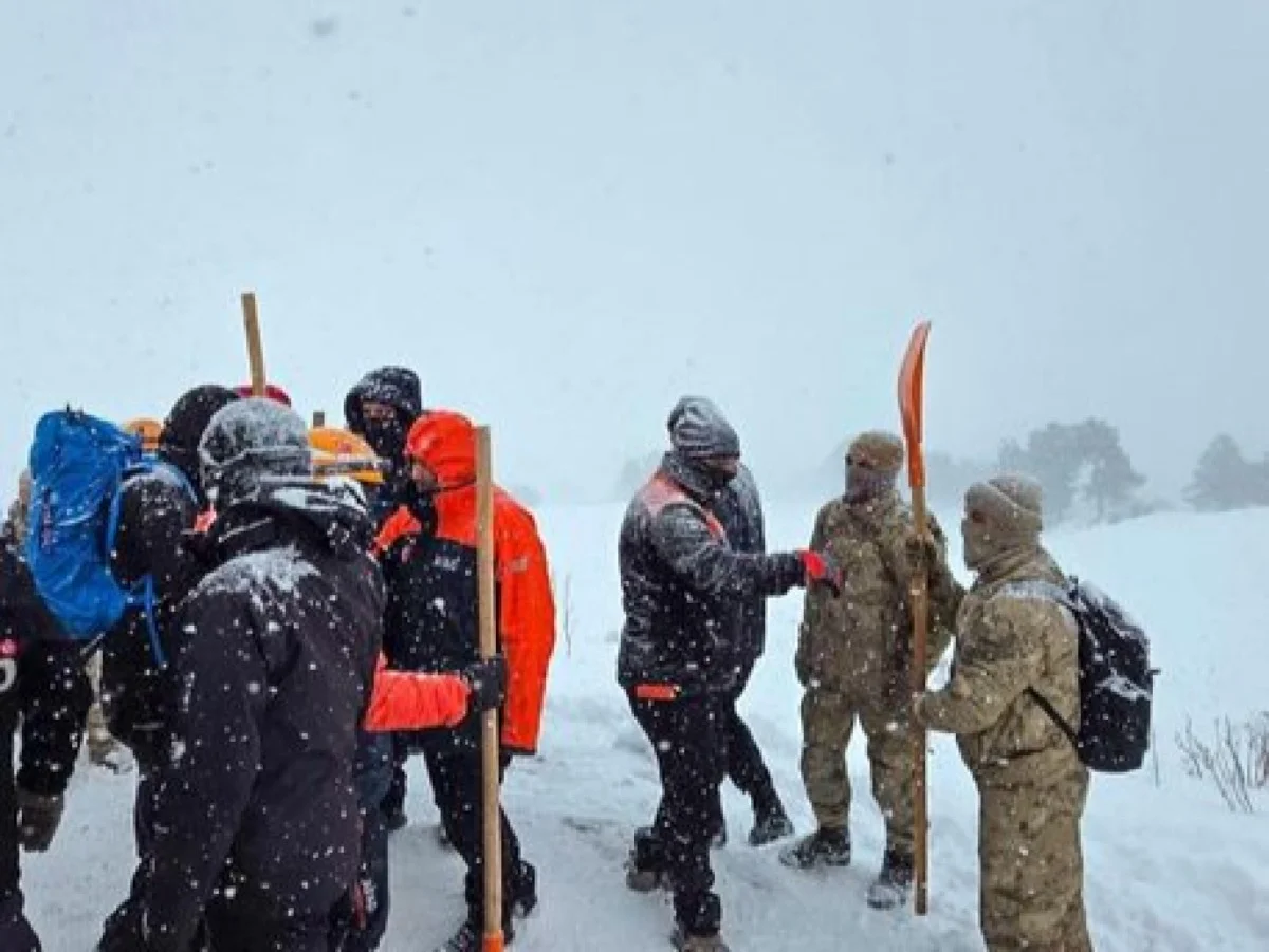 Artvin'de çığ altında kalmışlardı! 2 çobanı arama çalışmaları sürüyor