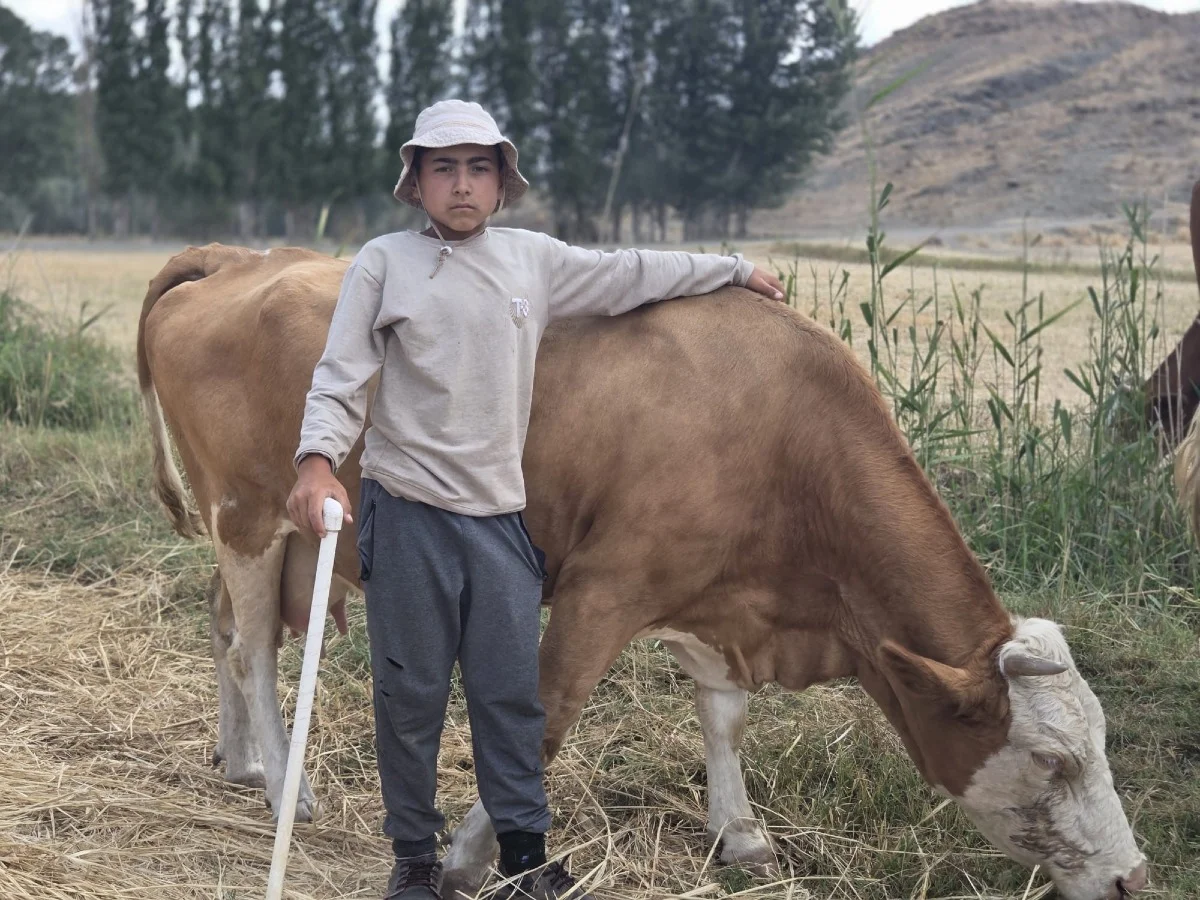 Huysuz mu, manken mi? Sorgunlu Alperen’in ineklerine verdiği sıradışı isimler