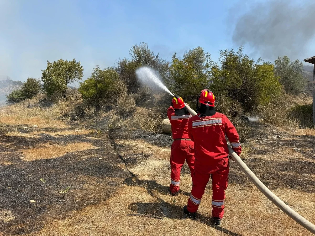 Arnavutluk'ta orman yangını: 1 ölü, 8 yaralı