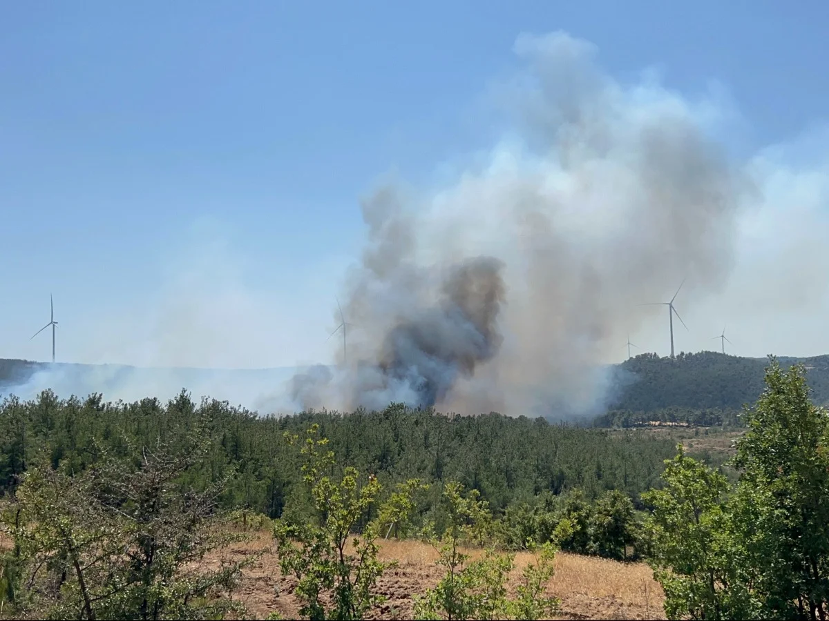 Çanakkale'de korkutan orman yangını! 