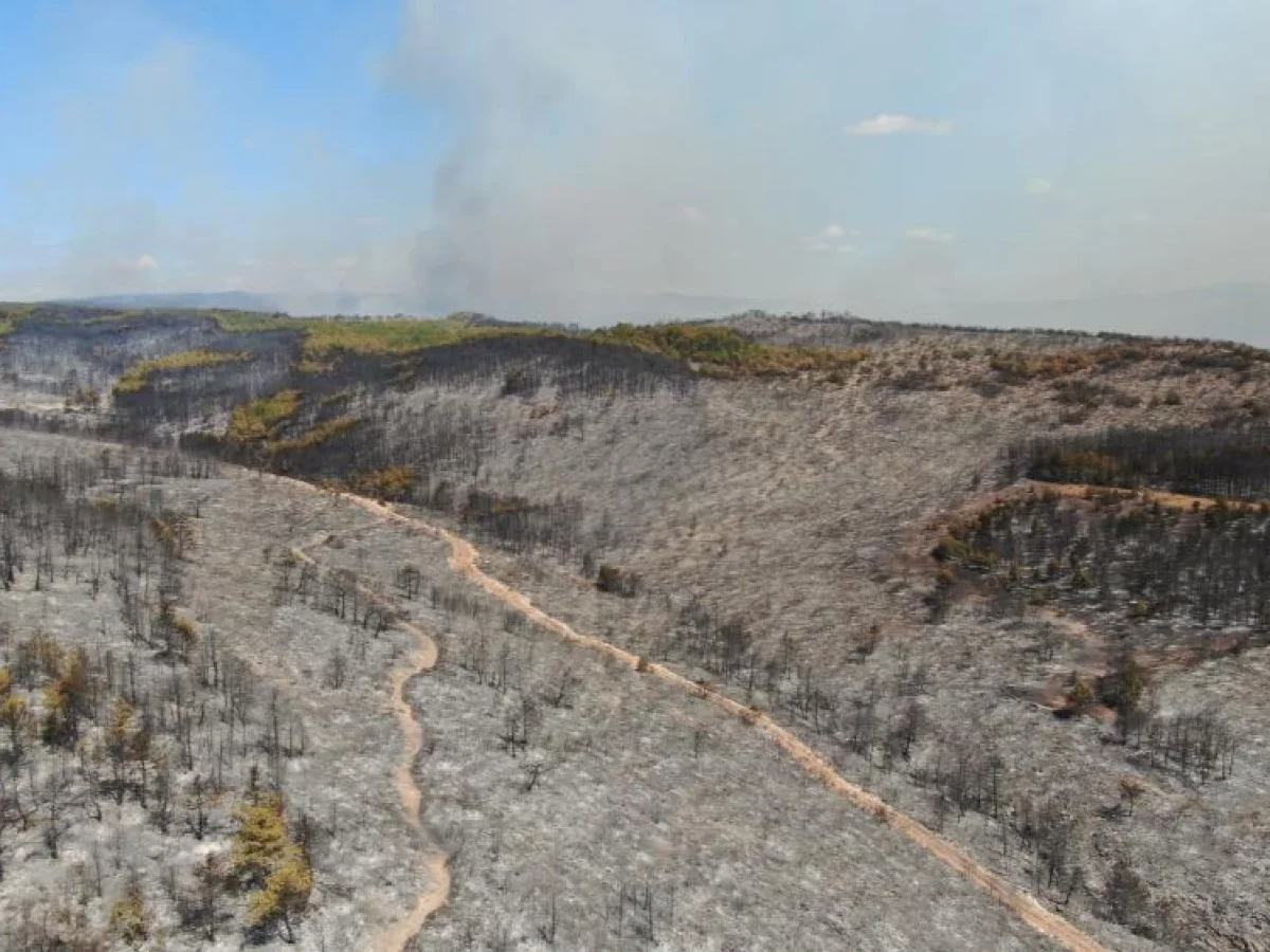 Kastamonu’da o görüntüler yürek sızlattı! Acı tablo gözler önüne sarıldı
