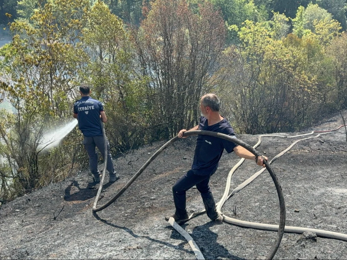 Ahşap evden ormanlık alana sıçrayan yangın kontrol altına alındı