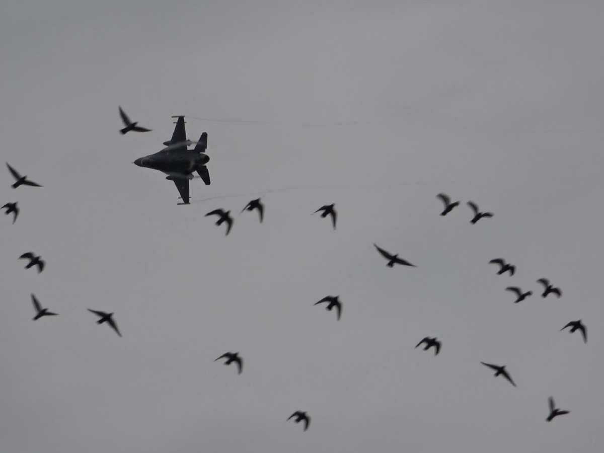 Amasya'da nefes kesen F-16 gösterisi