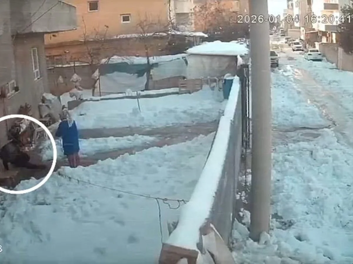 Evden çıkan düşüyor: Buz tutan zemin tehlike saçtı