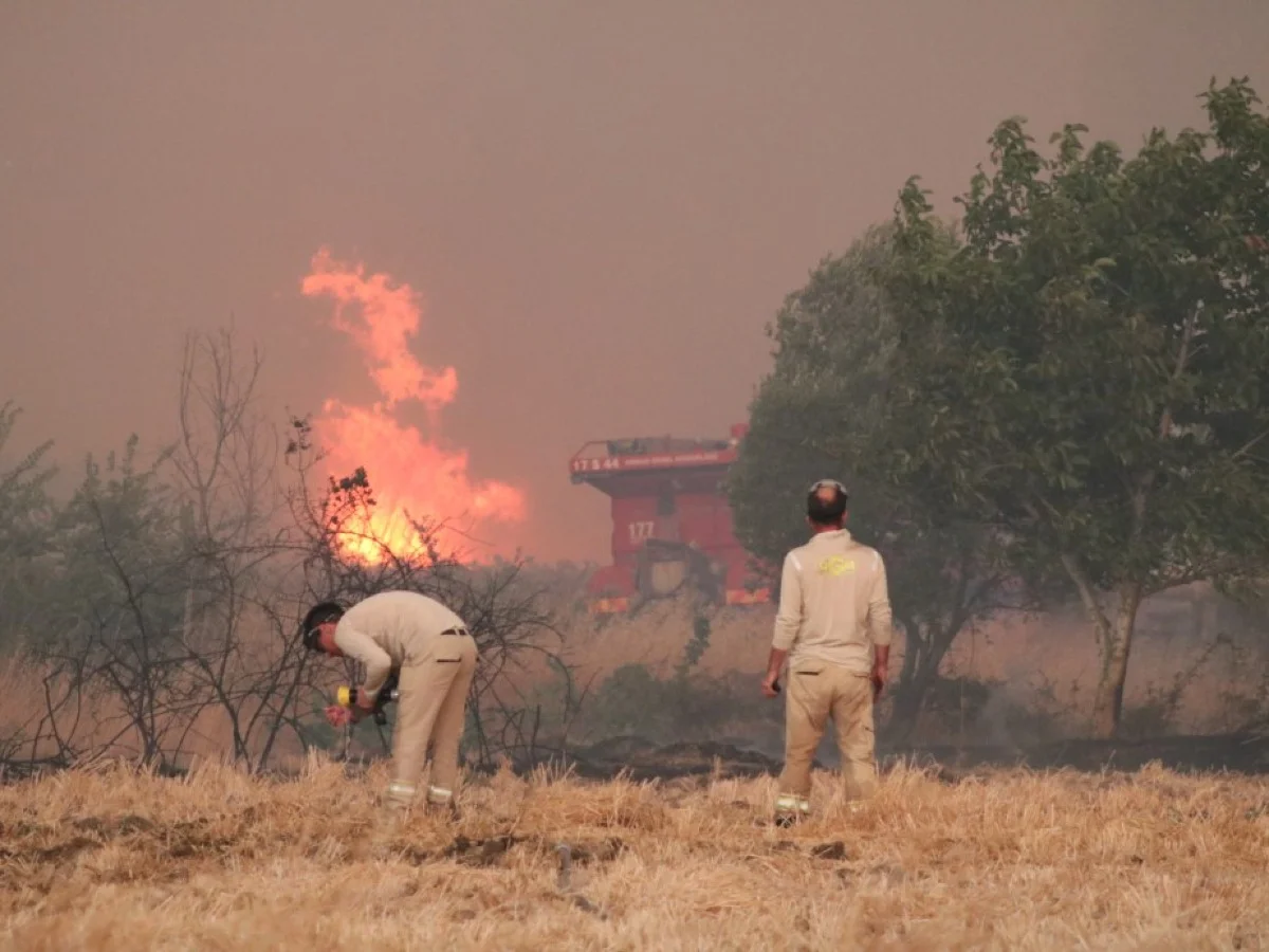 Bakan Yumaklı'dan Gelibolu yangını açıklaması