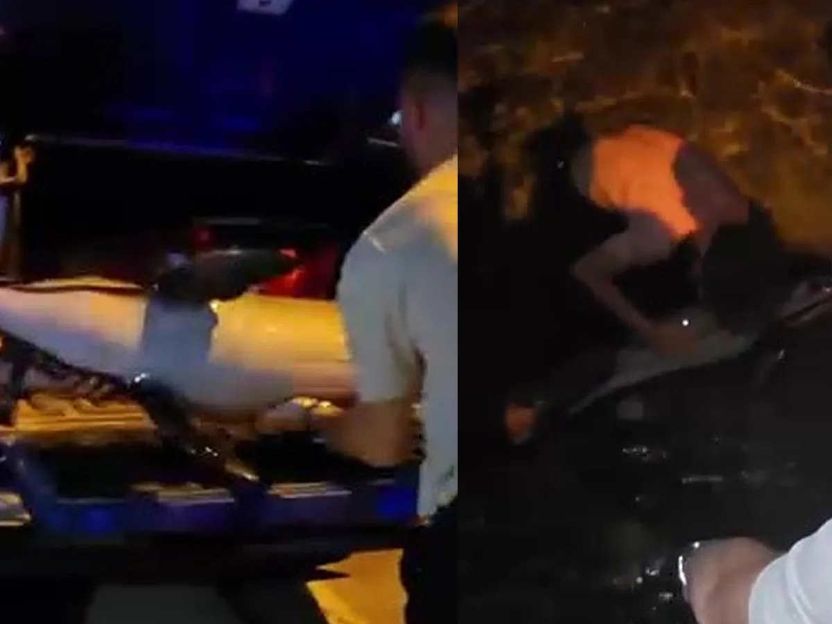 Bursa'da gece saatlerinde sahilde görüldü! Hemen jandarmaya haber verdiler