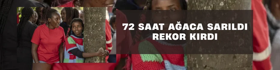 Ağaca 72 saat boyunca sarıldı, dünya rekoru kırdı