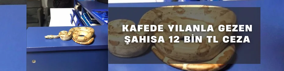 İzmir'de kafede yılanla gezdi, 12 bin lira ceza yedi